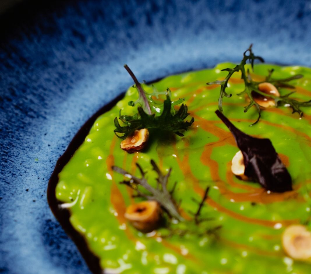 Home – Menù degustazione (piatto verde)